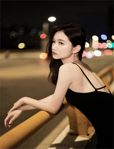 大象与蝴蝶